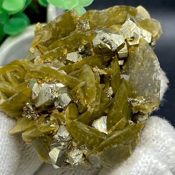 Olive siderite blades studded with bright pyrite dodecahedra from Guizhou, China, side view