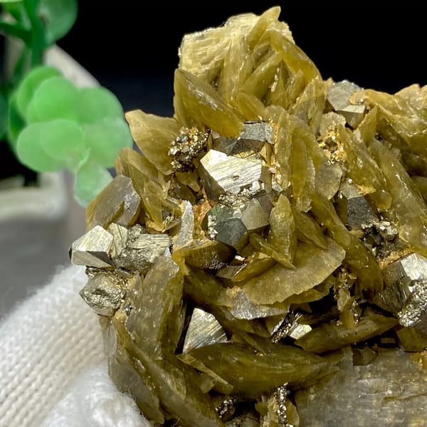 Olive siderite blades studded with bright pyrite dodecahedra from Guizhou, China, close-up of terminations