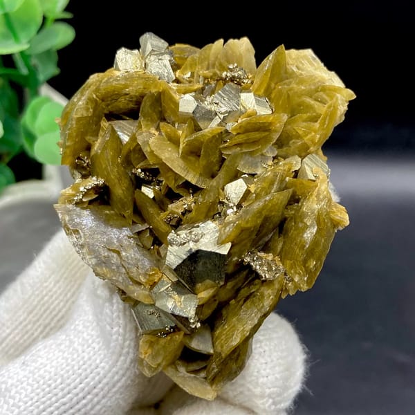 Olive siderite blades studded with bright pyrite dodecahedra from Guizhou, China, overall view