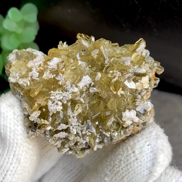 Dense cluster of golden transparent baryte blades from Yunnan, China, held in gloved hand