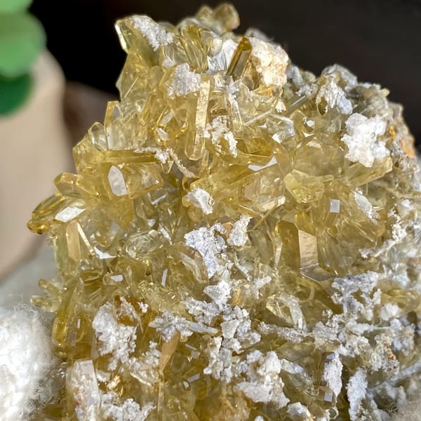 Dense cluster of golden transparent baryte blades from Yunnan, China, reverse side