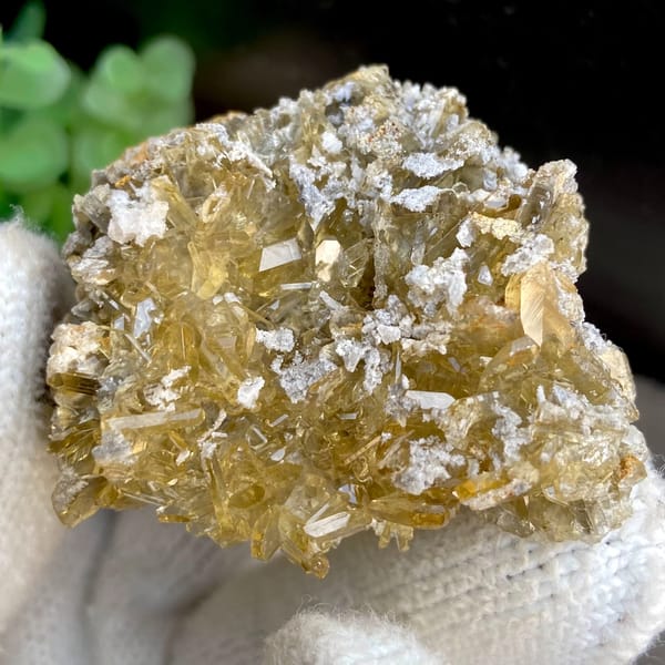 Dense cluster of golden transparent baryte blades from Yunnan, China, top view
