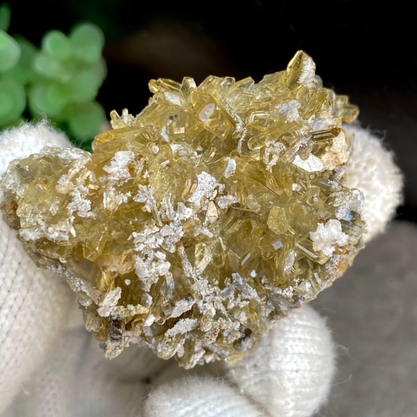 Dense cluster of golden transparent baryte blades from Yunnan, China, close-up of terminations