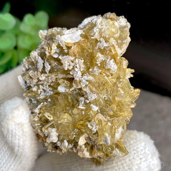 Dense cluster of golden transparent baryte blades from Yunnan, China, overall view