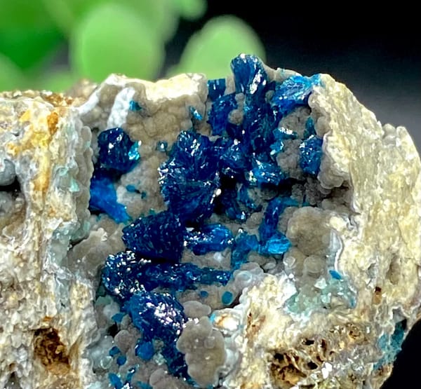 Deep blue veszelyite crystals in pale pocket from Yunnan, China, overall view