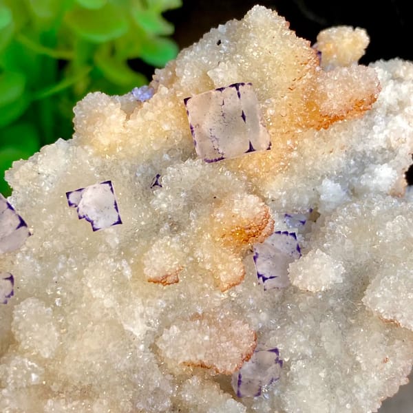 Small purple-edged fluorite cubes on white quartz druse from Guizhou, China, second angle