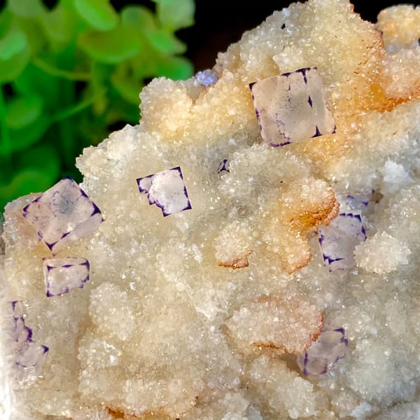 Small purple-edged fluorite cubes on white quartz druse from Guizhou, China, close-up of the crystal faces