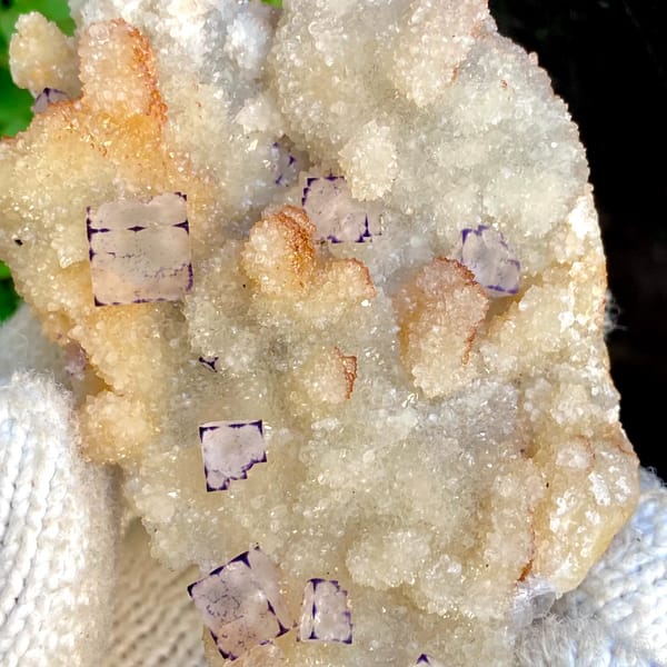 Small purple-edged fluorite cubes on white quartz druse from Guizhou, China, top view