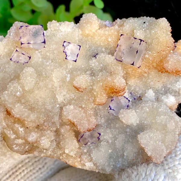 Small purple-edged fluorite cubes on white quartz druse from Guizhou, China, detail of the matrix contact