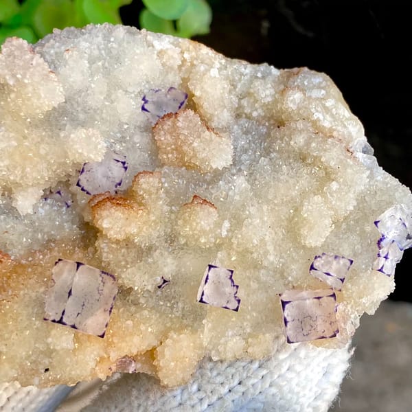 Small purple-edged fluorite cubes on white quartz druse from Guizhou, China, side view