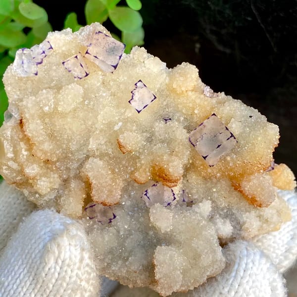 Small purple-edged fluorite cubes on white quartz druse from Guizhou, China, close-up of terminations