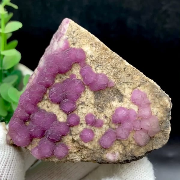 Purple-pink strawberry fluorite balls on sandy triangle from Henan, China, held in gloved hand