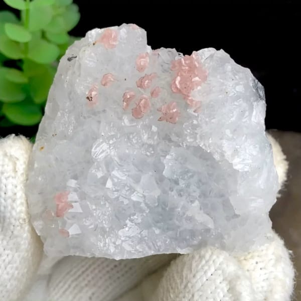 Pink rhodochrosite dots on white quartz block from Guangxi, China, held in gloved hand