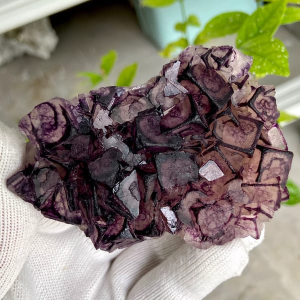 Purple-edged fluorite cubes with grid pattern from Inner Mongolia, China, second angle