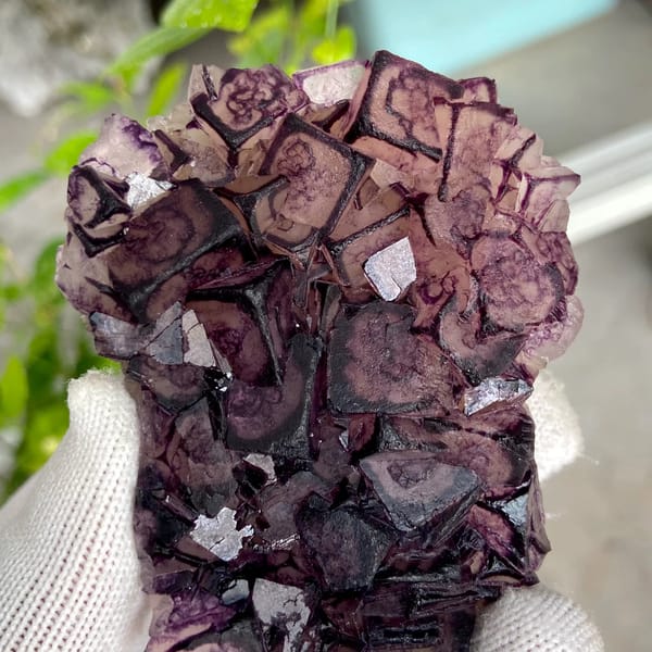 Purple-edged fluorite cubes with grid pattern from Inner Mongolia, China, close-up of the crystal faces