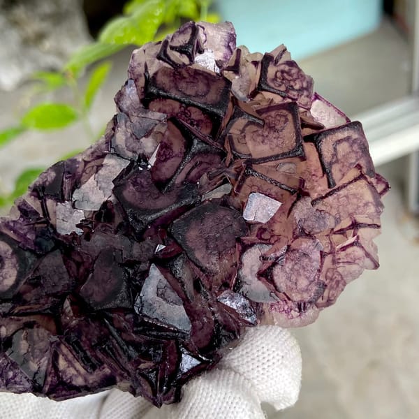 Purple-edged fluorite cubes with grid pattern from Inner Mongolia, China, reverse side