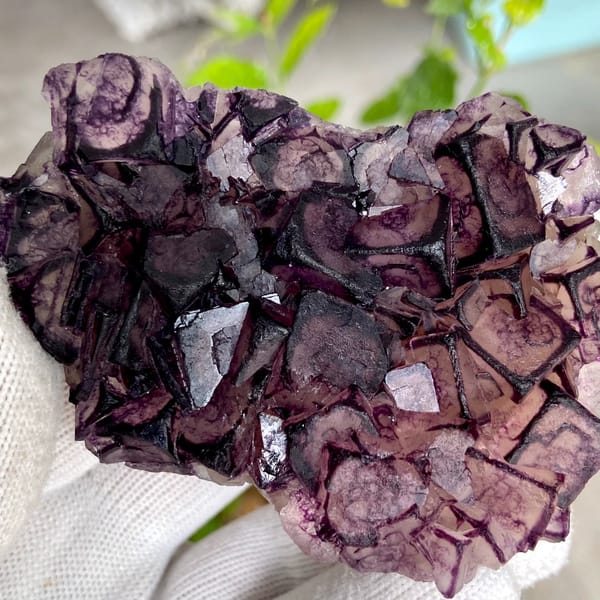 Purple-edged fluorite cubes with grid pattern from Inner Mongolia, China, top view