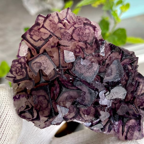 Purple-edged fluorite cubes with grid pattern from Inner Mongolia, China, side view