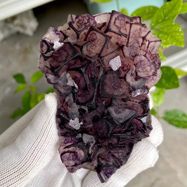Purple-edged fluorite cubes with grid pattern from Inner Mongolia, China, close-up of terminations