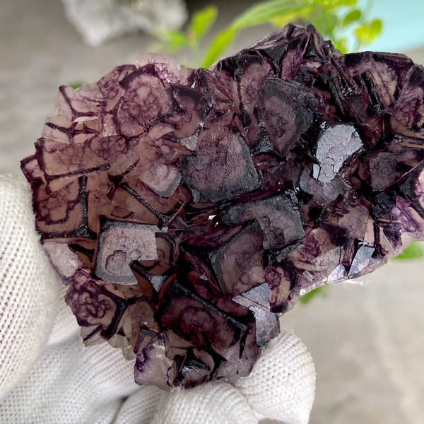 Purple-edged fluorite cubes with grid pattern from Inner Mongolia, China, overall view