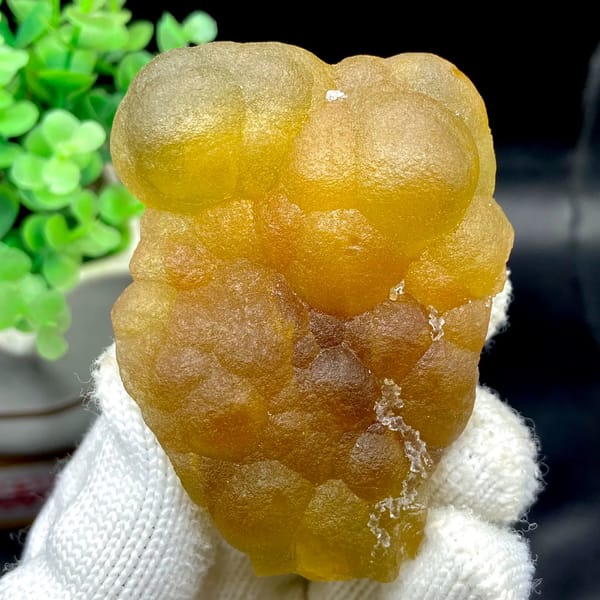 Honey-yellow botryoidal fluorite mass from Henan, China, second angle