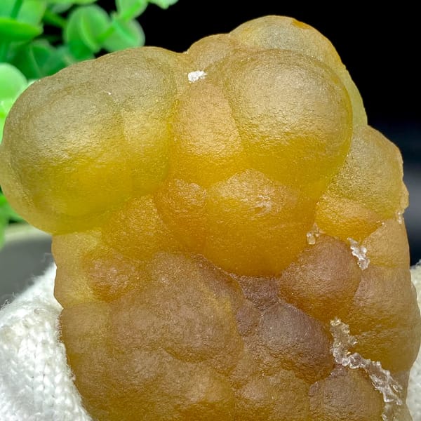Honey-yellow botryoidal fluorite mass from Henan, China, close-up of the crystal faces