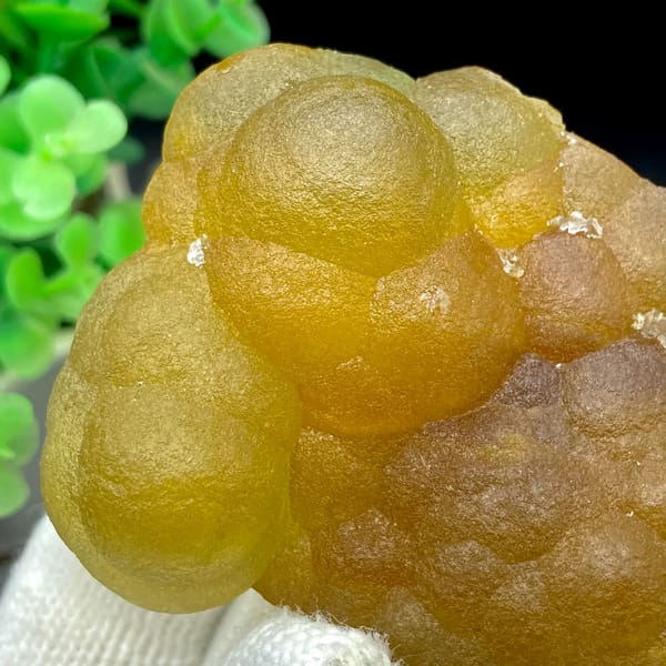 Honey-yellow botryoidal fluorite mass from Henan, China, reverse side