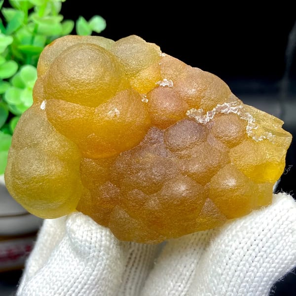 Honey-yellow botryoidal fluorite mass from Henan, China, detail of the matrix contact