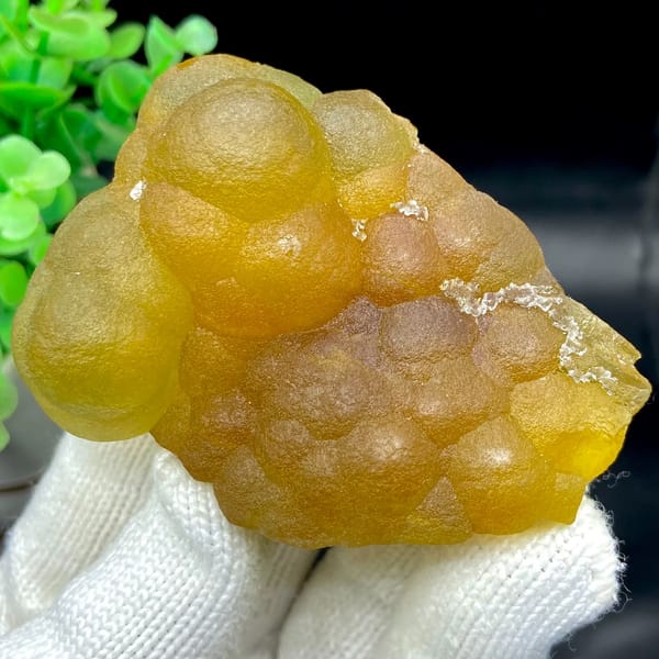 Honey-yellow botryoidal fluorite mass from Henan, China, side view