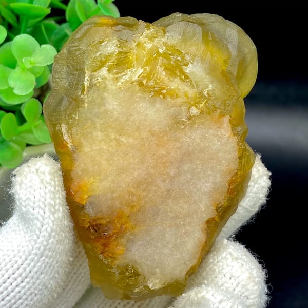 Honey-yellow botryoidal fluorite mass from Henan, China, overall view