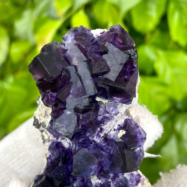 Deep purple phantom fluorite cubes on white quartz from Inner Mongolia, China, close-up of the crystal faces