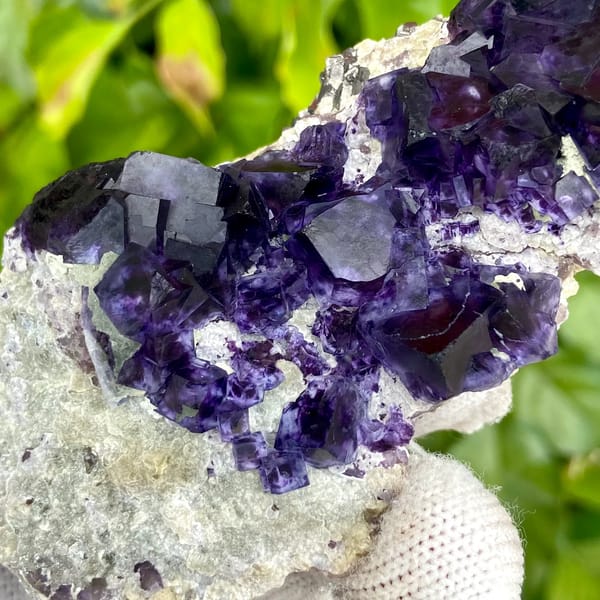 Deep purple phantom fluorite cubes on white quartz from Inner Mongolia, China, reverse side