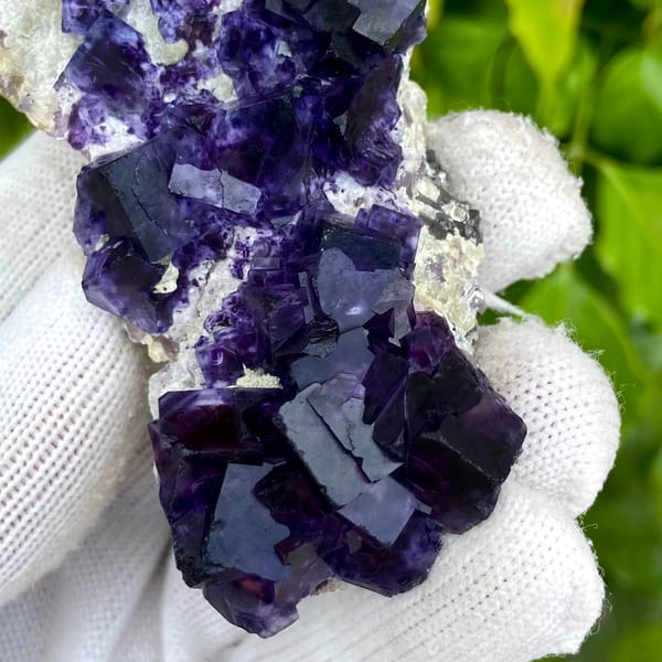 Deep purple phantom fluorite cubes on white quartz from Inner Mongolia, China, top view