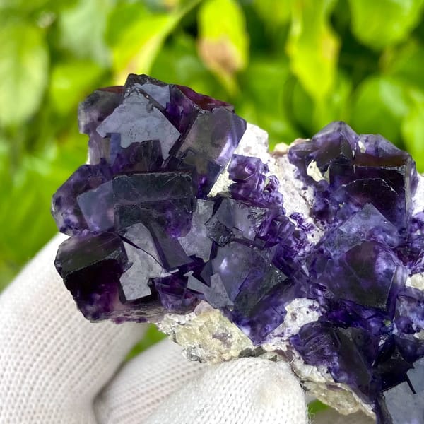 Deep purple phantom fluorite cubes on white quartz from Inner Mongolia, China, close-up of terminations