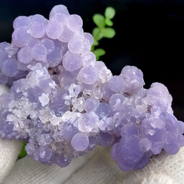Lavender grape agate cluster with pearly lustre from Indonesia, held in gloved hand