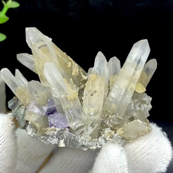 Clear quartz prisms with purple fluorite cube and siderite from Yaogangxian, Hunan, China, held in gloved hand