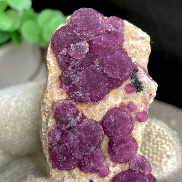 Raspberry strawberry-fluorite balls on tall tan sliver from Henan, China, close-up of the crystal faces