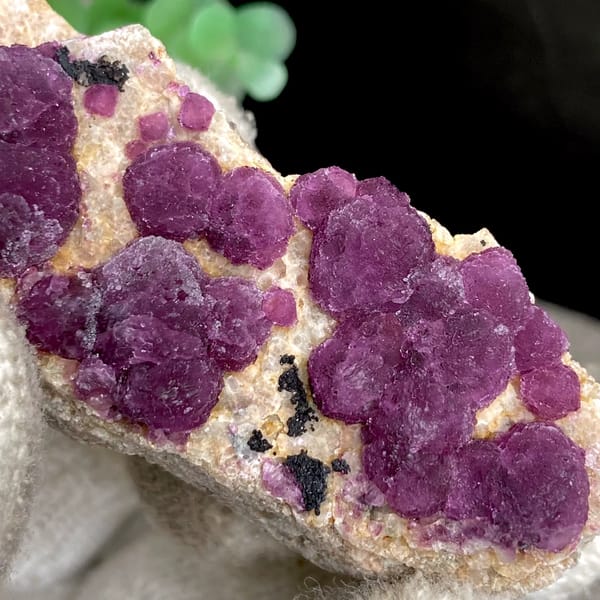 Raspberry strawberry-fluorite balls on tall tan sliver from Henan, China, detail of the matrix contact