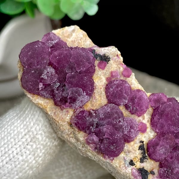 Raspberry strawberry-fluorite balls on tall tan sliver from Henan, China, close-up of terminations