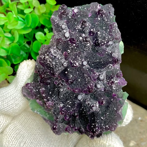 Dark green fluorite octahedra with purple edges and sparkling coating from Zhejiang, China, second angle