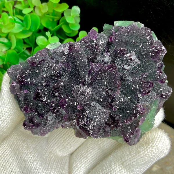 Dark green fluorite octahedra with purple edges and sparkling coating from Zhejiang, China, close-up of the crystal faces