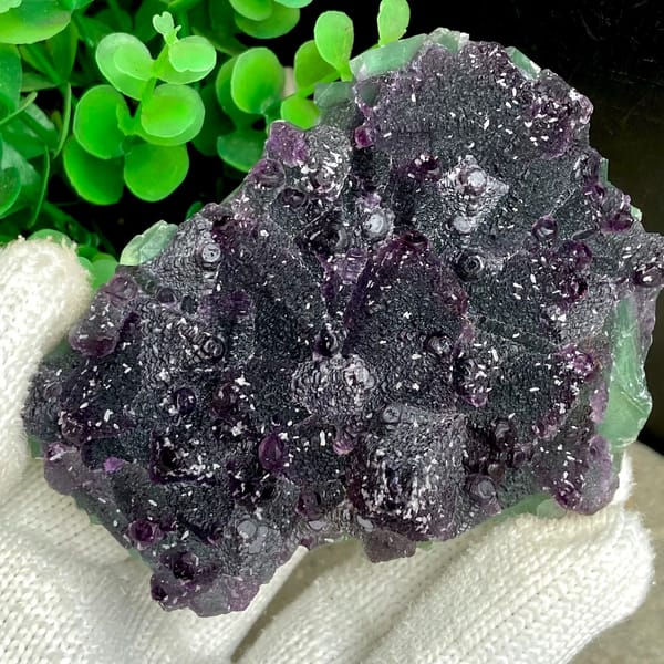 Dark green fluorite octahedra with purple edges and sparkling coating from Zhejiang, China, reverse side