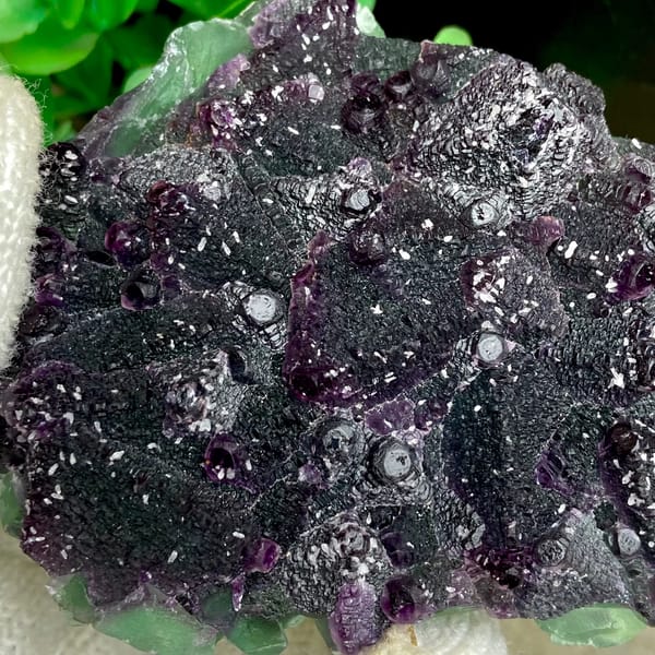 Dark green fluorite octahedra with purple edges and sparkling coating from Zhejiang, China, side view