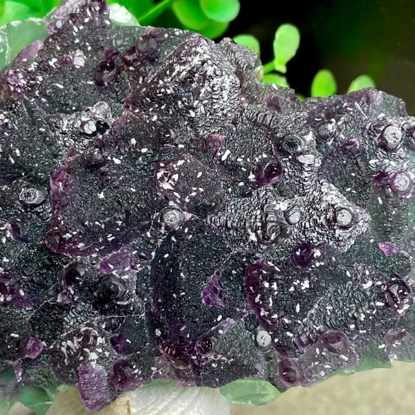 Dark green fluorite octahedra with purple edges and sparkling coating from Zhejiang, China, overall view