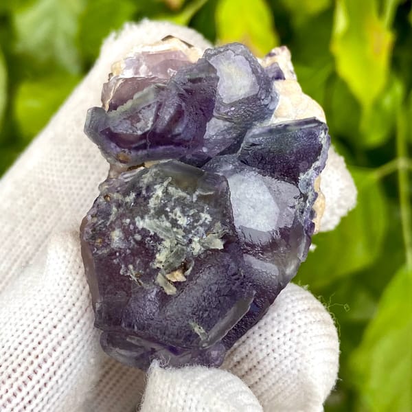 Dark purple phantom fluorite cubes with inclusions from Inner Mongolia, China, reverse side