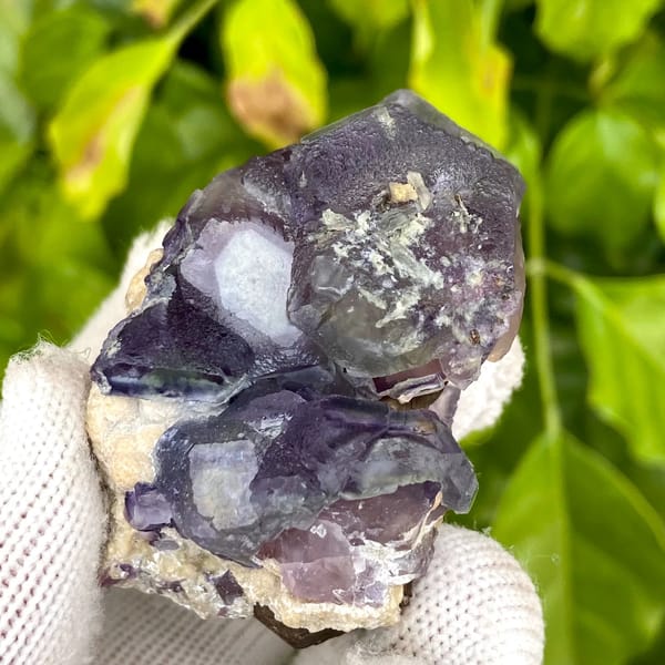 Dark purple phantom fluorite cubes with inclusions from Inner Mongolia, China, detail of the matrix contact