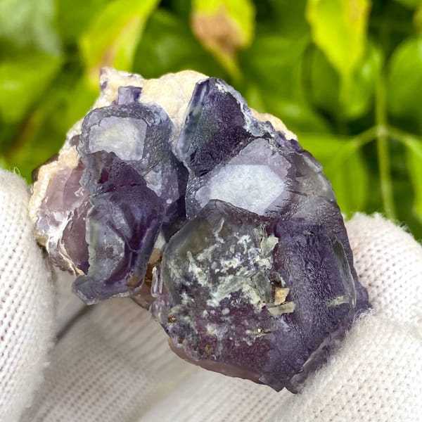 Dark purple phantom fluorite cubes with inclusions from Inner Mongolia, China, side view