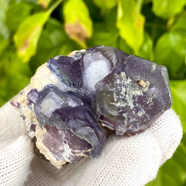 Dark purple phantom fluorite cubes with inclusions from Inner Mongolia, China, close-up of terminations