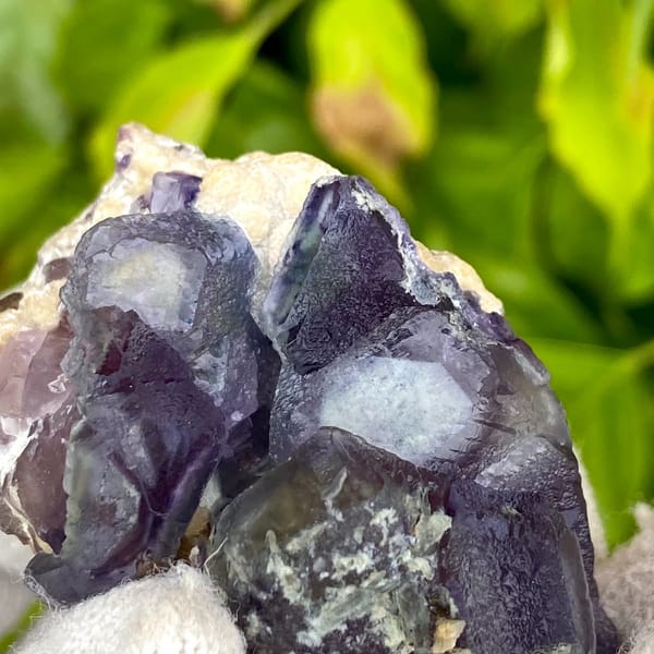 Dark purple phantom fluorite cubes with inclusions from Inner Mongolia, China, overall view