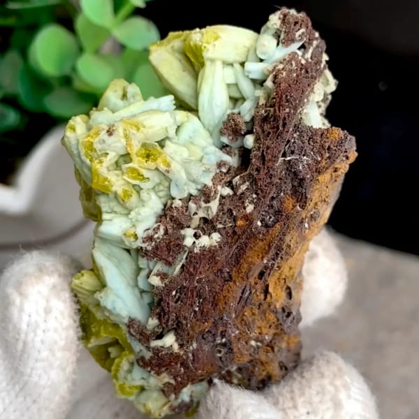 Two-tone pale green and yellow pyromorphite on limonite from Guangxi, China, held in gloved hand